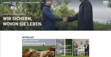 [1698147764218574.jpg]