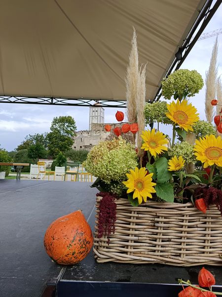 IMG 20231008 094711.jpg