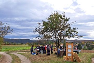 [169875782792543.jpg]