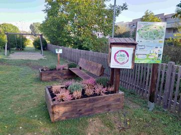 [1699348214425258.jpg]