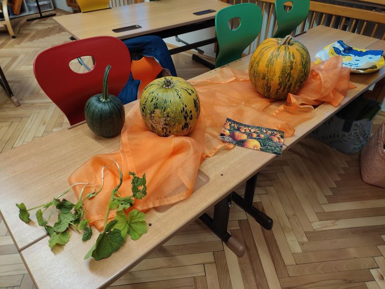 1698908340502.jpg 1698908340502.jpg