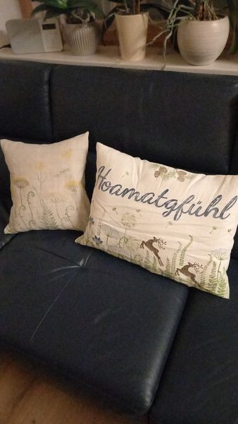 IMG-20231117-WA0001.jpg IMG-20231117-WA0001.jpg