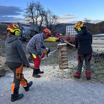 [1700561288239723.jpg]