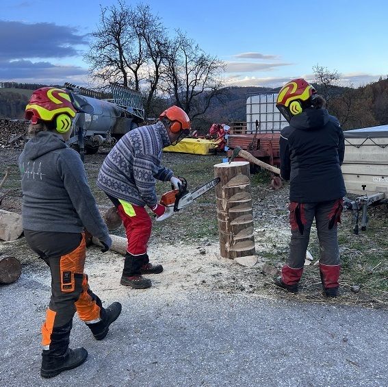 Motorsägenkurs 2.jpg