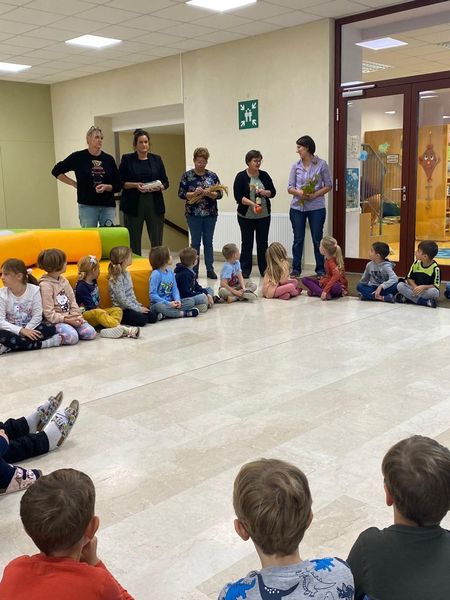 VS Teesdorf 5.jpg VS Teesdorf 5.jpg