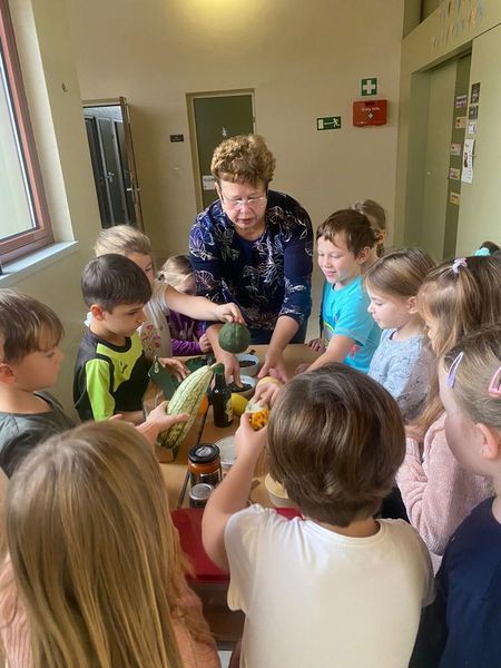 VS Teesdorf 7.jpg VS Teesdorf 7.jpg