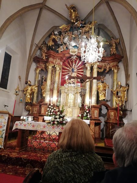 IMG 20231122 185758 resized 20231123 113432979.jpg