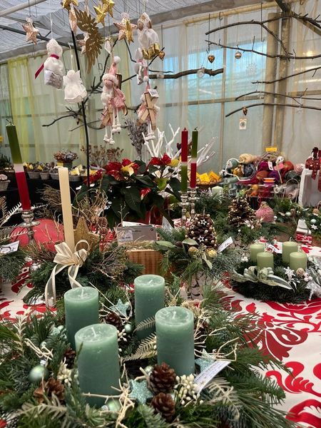 Exkursion November 2023 © Die Bäuerinnen im Gebiet Groß Enzersdorf Exkursion November 2023 © Die Bäuerinnen im Gebiet Groß Enzersdorf