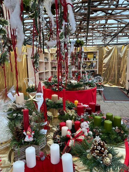 Exkursion  November 2023 ©&nbsp;Die Bäuerinnen im Gebiet Groß Enzersdorf