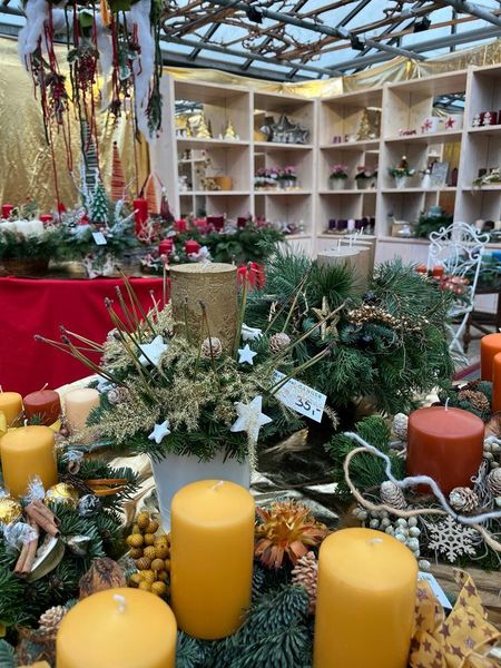 Exkursion November 2023 © Die Bäuerinnen im Gebiet Groß Enzersdorf Exkursion November 2023 © Die Bäuerinnen im Gebiet Groß Enzersdorf