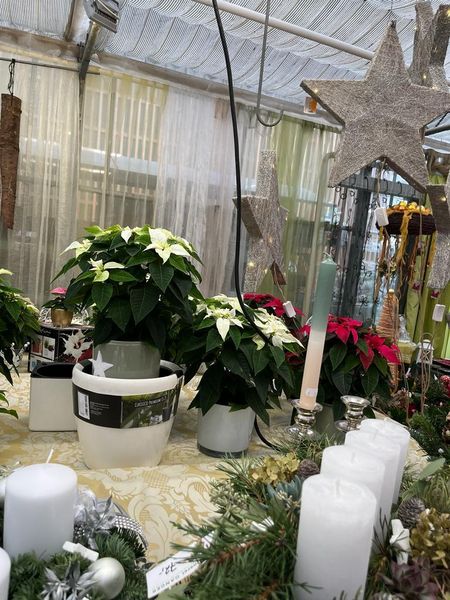 Exkursion November 2023 © Caroline Zatschkowitsch Exkursion November 2023 © Caroline Zatschkowitsch