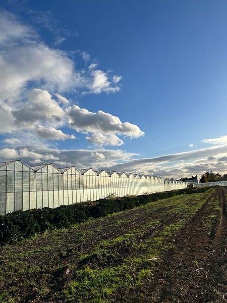 Exkursion November 2023 © Die Bäuerinnen im Gebiet Groß Enzersdorf Exkursion November 2023 © Die Bäuerinnen im Gebiet Groß Enzersdorf