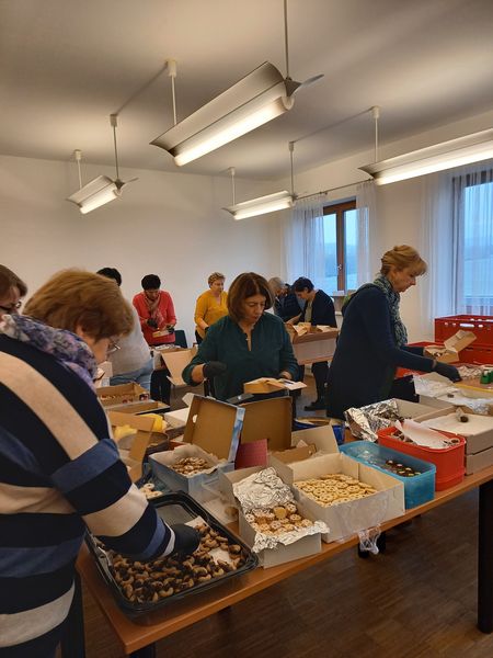 20231201 090038.jpg 20231201 090038.jpg