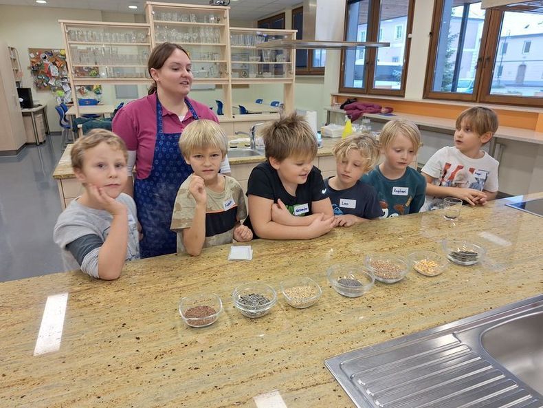 Getreide erkennen.jpg