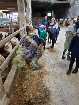 [1706173981552852.jpg]