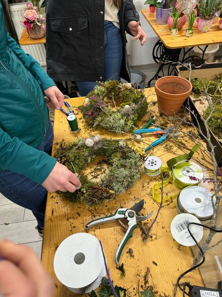 image5.jpg image5.jpg