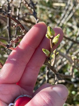 [1710744921372352.jpg]