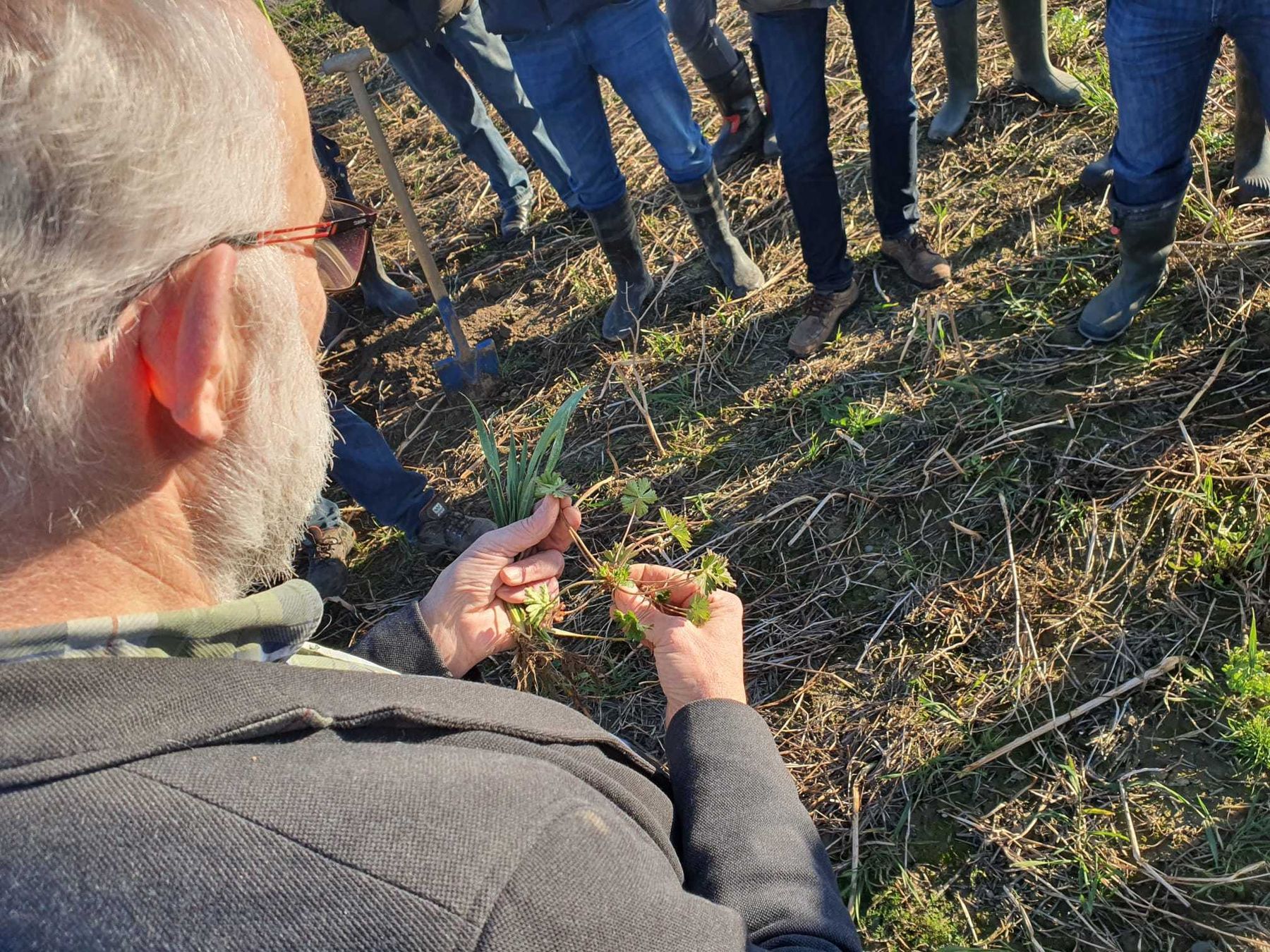 Heute war wieder einiges los bei unseren Arbeitskreisen Boden.Wasser.Schutz. In Kematen an der Krems und in Alkoven fanden Feldbegehungen, Vorträge und viele interessante Diskussionen statt. Vielen Dank für das große Interesse! © BWSB