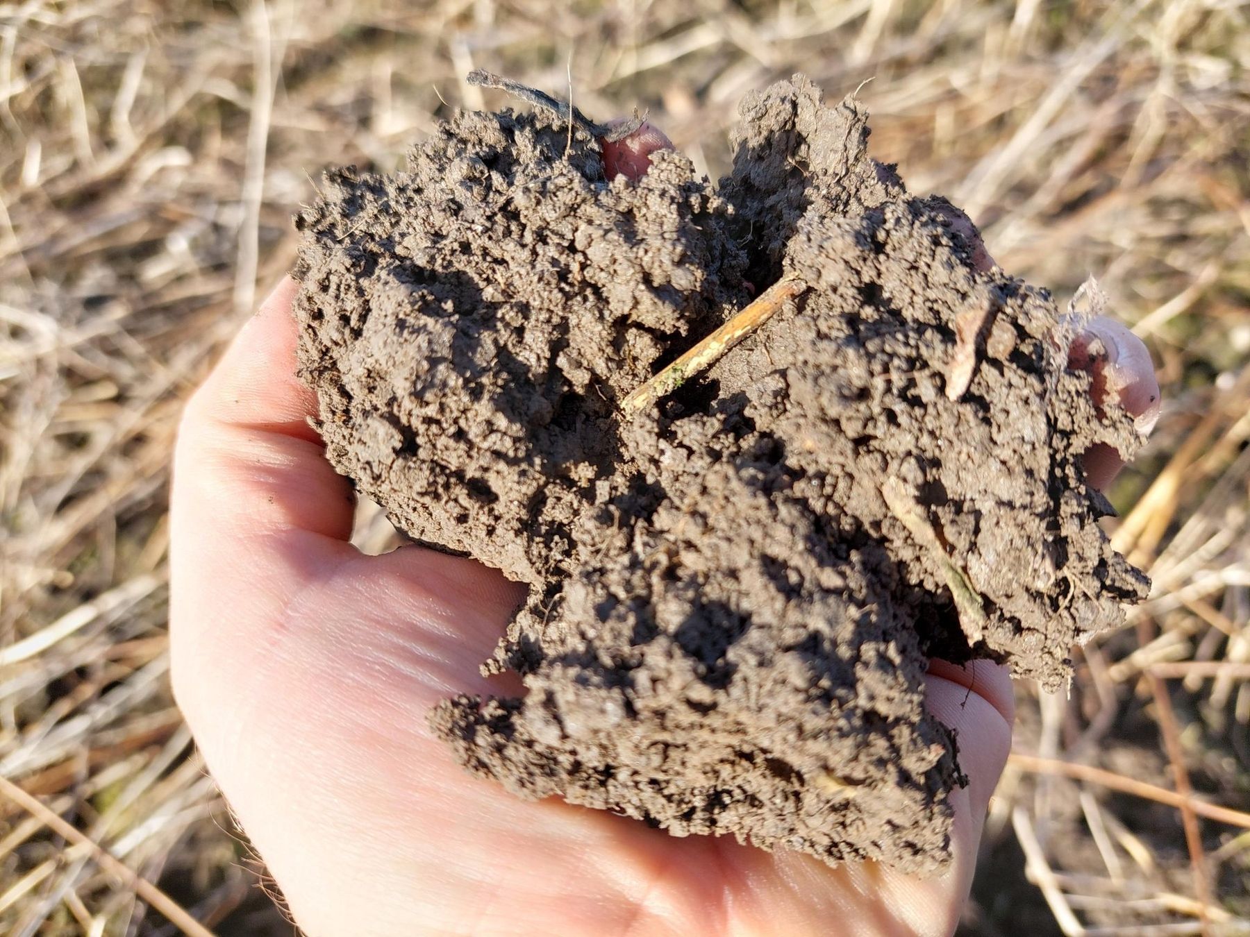 optimale Bodenstruktur © BWSB