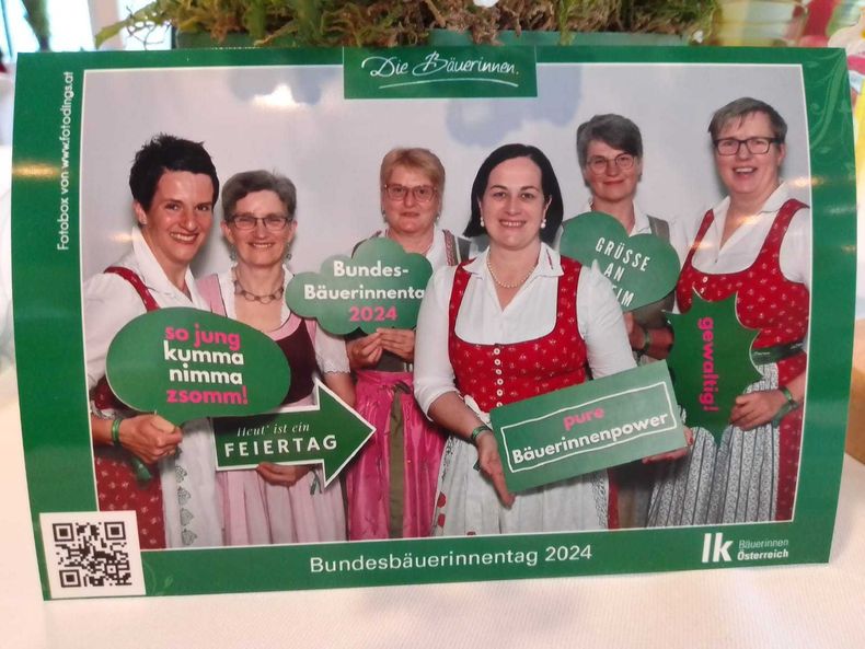 IMG-20240410-WA0014.jpg IMG-20240410-WA0014.jpg