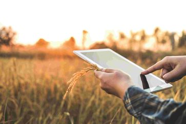 [1713510810145554.jpg]