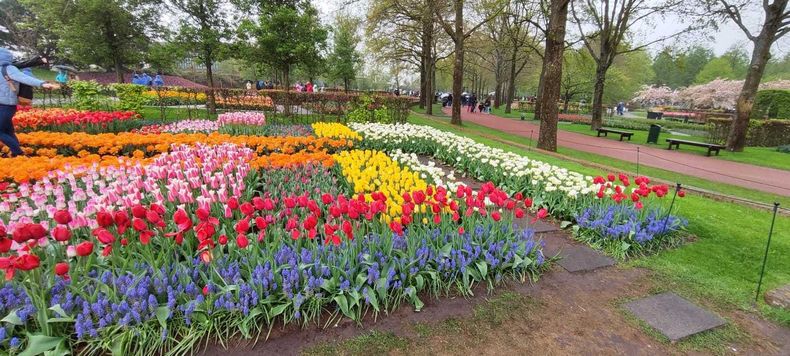 IMG-20240415-WA0039.jpg IMG-20240415-WA0039.jpg