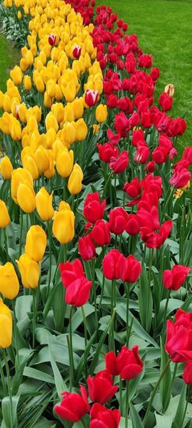 IMG-20240415-WA0045.jpg IMG-20240415-WA0045.jpg