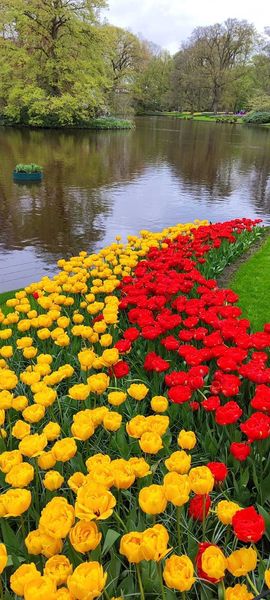 IMG-20240419-WA0032.jpg IMG-20240419-WA0032.jpg