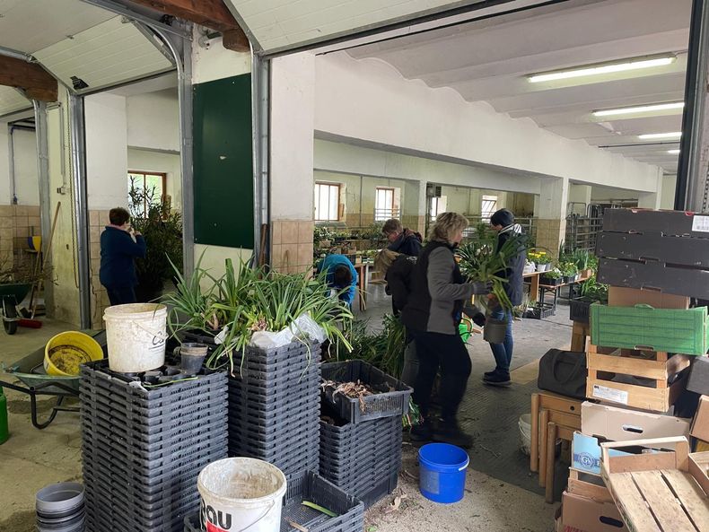 IMG-20240420-WA0006.jpg IMG-20240420-WA0006.jpg