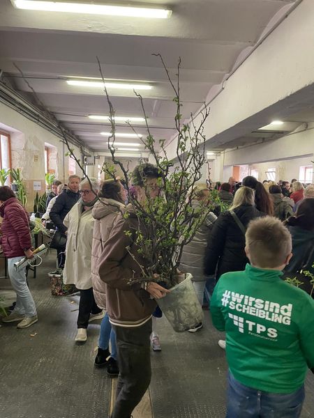 IMG-20240420-WA0008.jpg IMG-20240420-WA0008.jpg