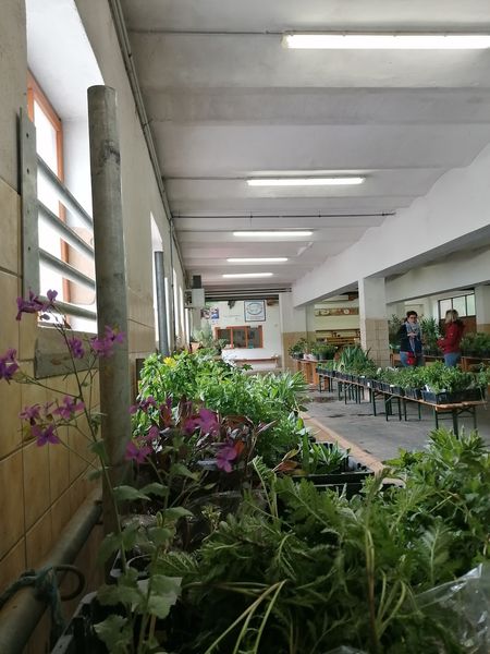 IMG 20240420 113025 resized 20240420 084041552.jpg IMG 20240420 113025 resized 20240420 084041552.jpg