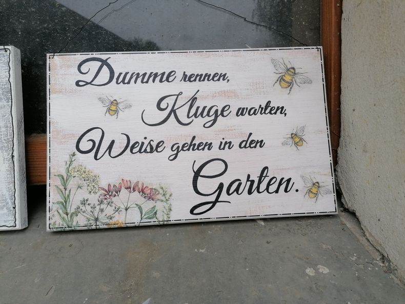 IMG 20240420 130455 resized 20240420 084040041.jpg IMG 20240420 130455 resized 20240420 084040041.jpg