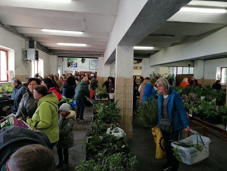 IMG 20240420 140504 resized 20240420 083956992.jpg