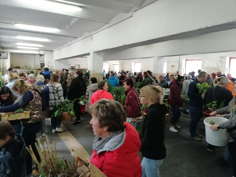 IMG 20240420 140653 resized 20240420 083956551.jpg IMG 20240420 140653 resized 20240420 083956551.jpg