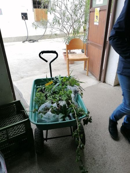 IMG 20240420 141751 resized 20240420 083955107.jpg