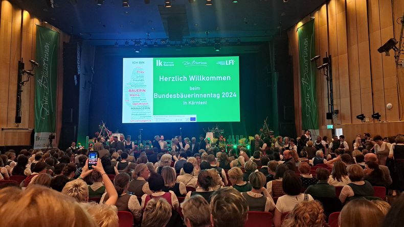 20240409 180207.jpg 20240409 180207.jpg