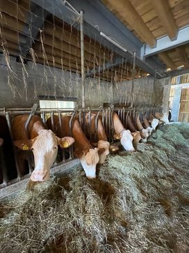 [1714580777611983.jpg]