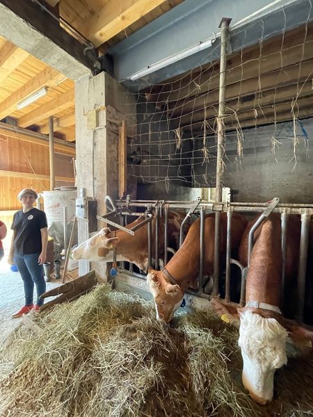 IMG 6092.jpg IMG 6092.jpg