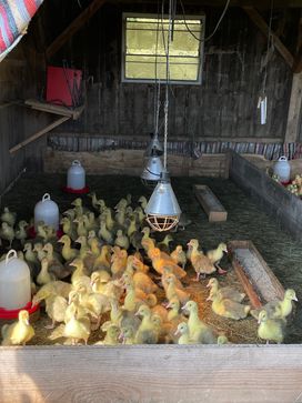 [1714580811531433.jpg]