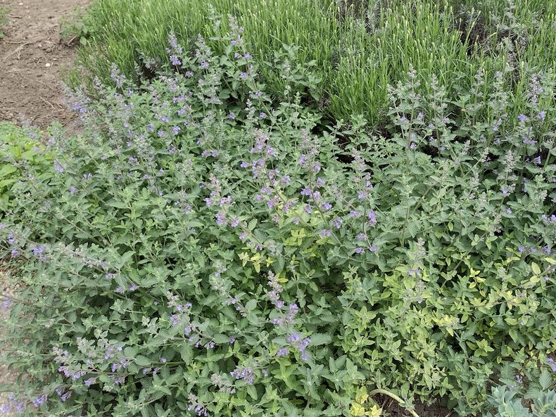 2024 Exkursion ins Burgenland 2024 Exkursion ins Burgenland