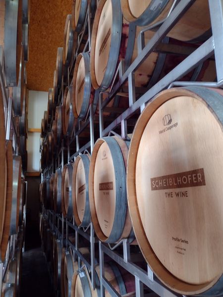 2024 Exkursion ins Burgenland