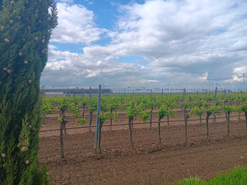 2024 Exkursion ins Burgenland 2024 Exkursion ins Burgenland