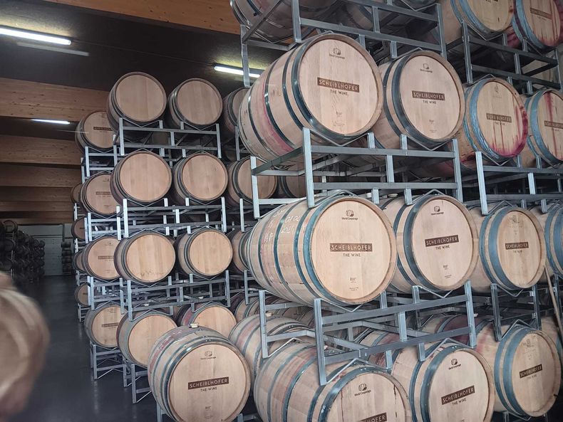 2024 Exkursion ins Burgenland