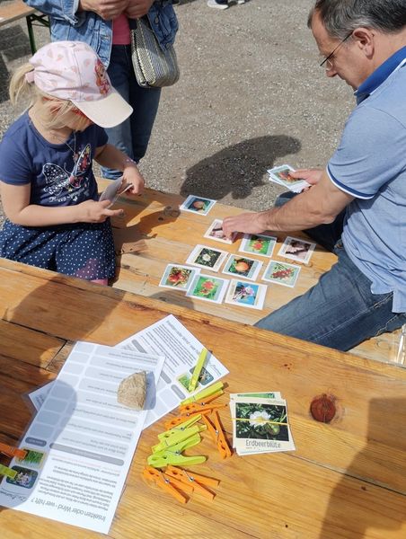 Aktivtag Wildbienen  ©&nbsp;Die Bäuerinnen im Bezirk Waidhofen/Thaya