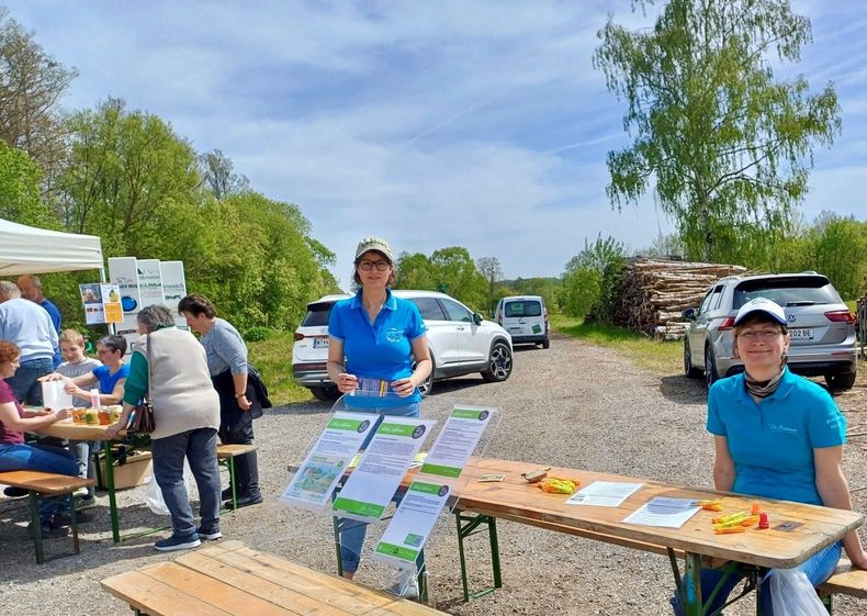 Aktivtag Wildbienen  ©&nbsp;Die Bäuerinnen im Bezirk Waidhofen/Thaya