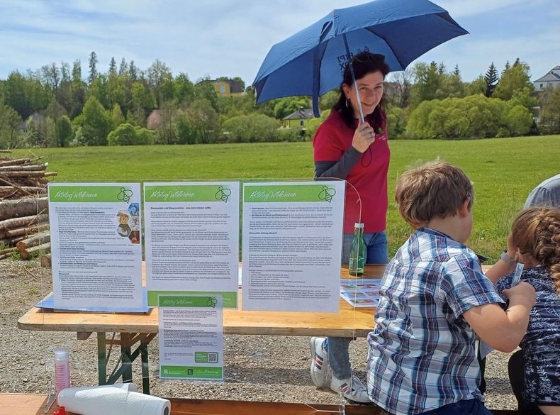 Aktivtag Wildbienen © Die Bäuerinnen im Bezirk Waidhofen/Thaya Aktivtag Wildbienen © Die Bäuerinnen im Bezirk Waidhofen/Thaya