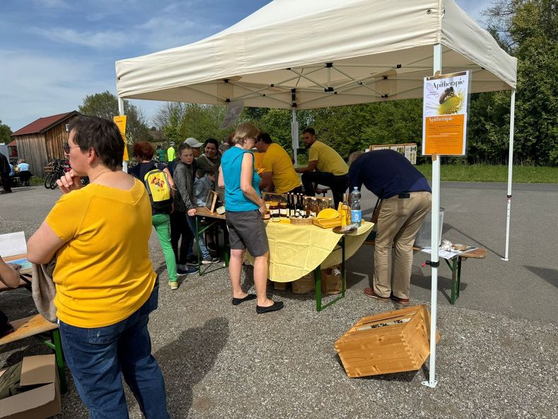 Aktivtag Wildbienen © Die Bäuerinnen im Bezirk Waidhofen/Thaya Aktivtag Wildbienen © Die Bäuerinnen im Bezirk Waidhofen/Thaya