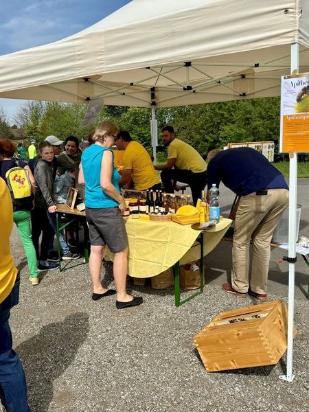 Aktivtag Wildbienen © Die Bäuerinnen im Bezirk Waidhofen/Thaya Aktivtag Wildbienen © Die Bäuerinnen im Bezirk Waidhofen/Thaya