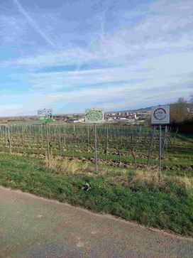 [1715145369977461.jpg]