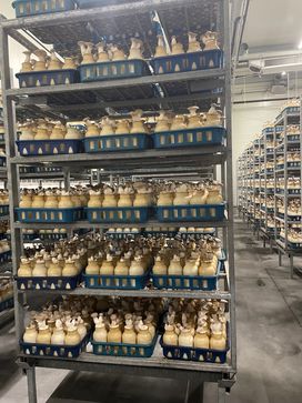 [1716455208151159.jpg]